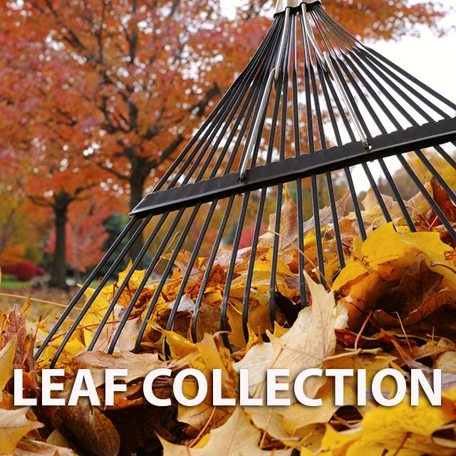 iStock_000010942320Medium Leaf Raking copy