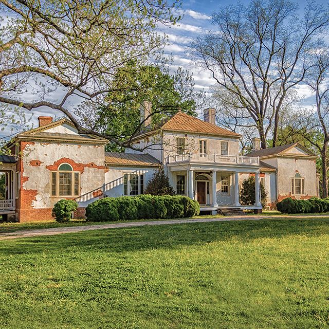 Battersea-640-IMG_3559-Edit