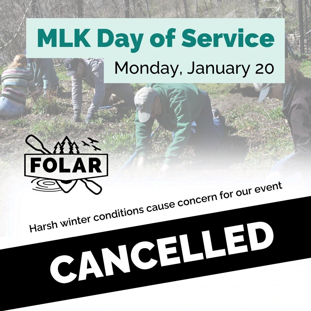 Folar cancellations
