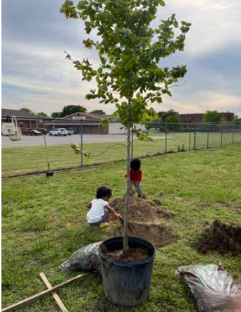 Screenshot 2026-02-17 125201