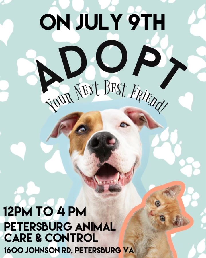 Animal Shelter Adoption image0