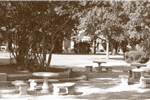 Historic Poplar Lawn Park